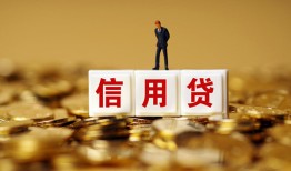 成都崇州市大额短借-成都崇州市短借空放-成都崇州市哪里有小额贷款