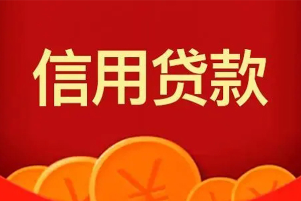 成都崇州市个人私借