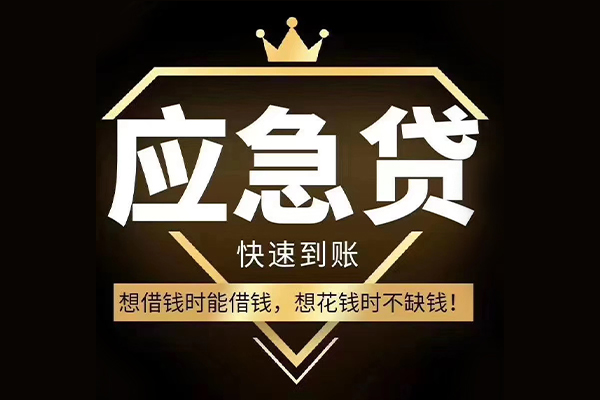 成都崇州市个人身份证借私借